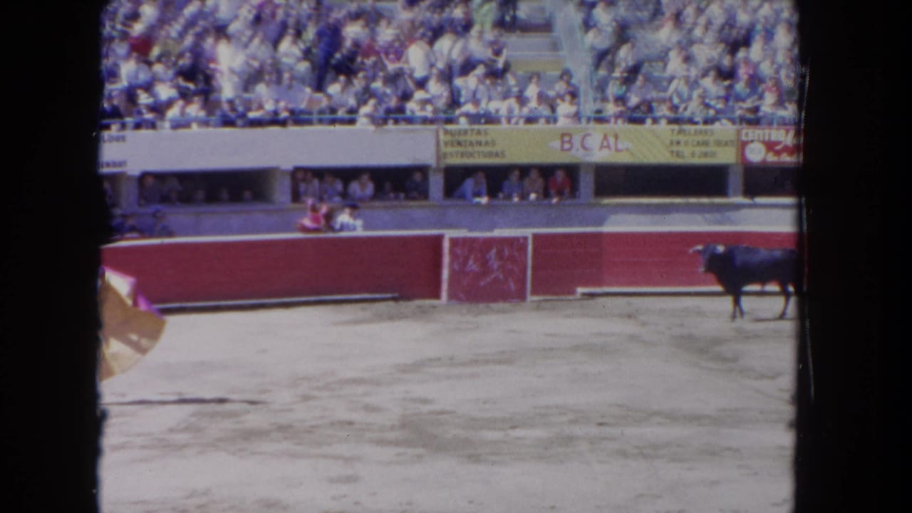 The bull stands near the arena barrier while a large crowd watches from the Los Angeles stands.