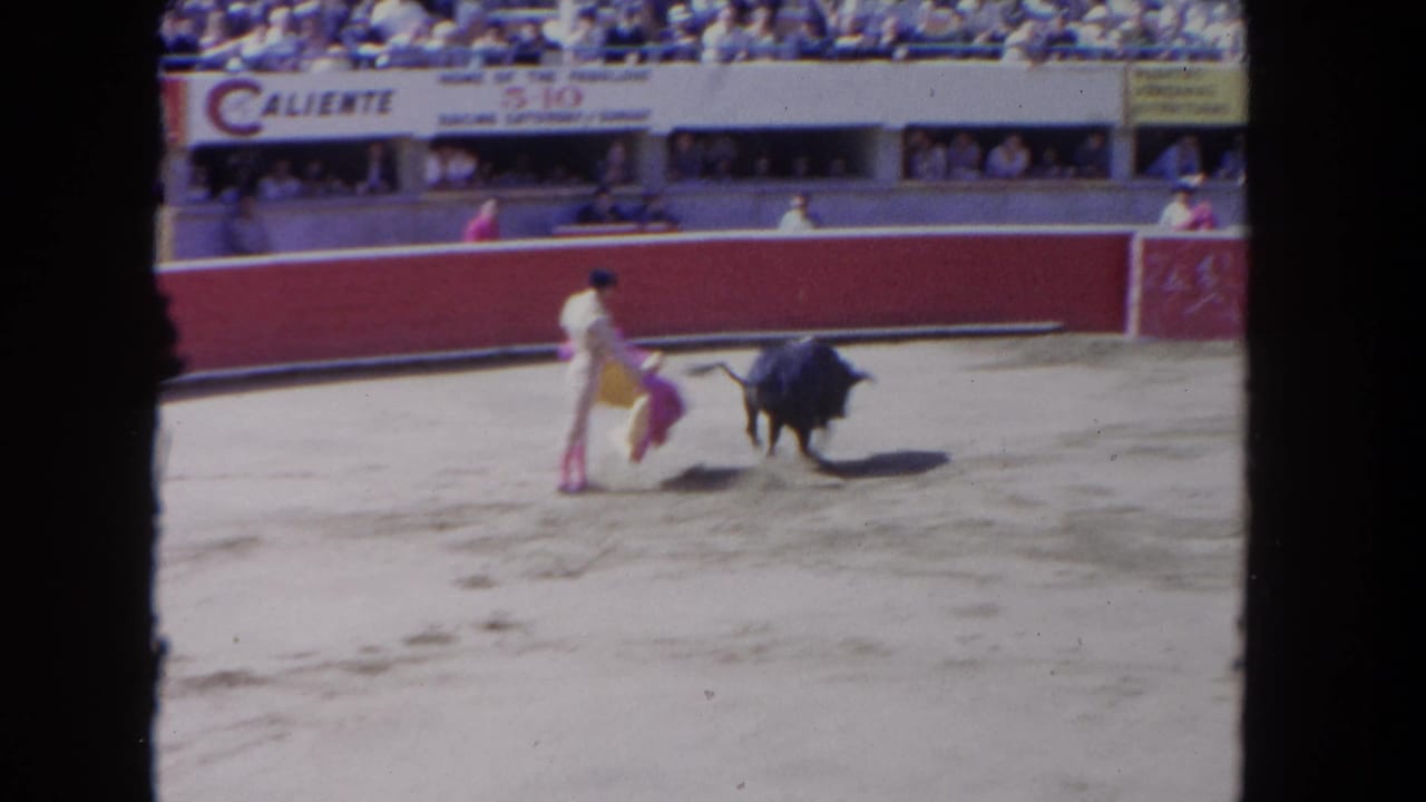 Bull charges toward a matador lowering a pink cape in the arena.