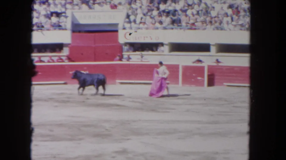 A black bull and matador with a pink cape face each other in the arena, with red barriers and seated spectators in the background.