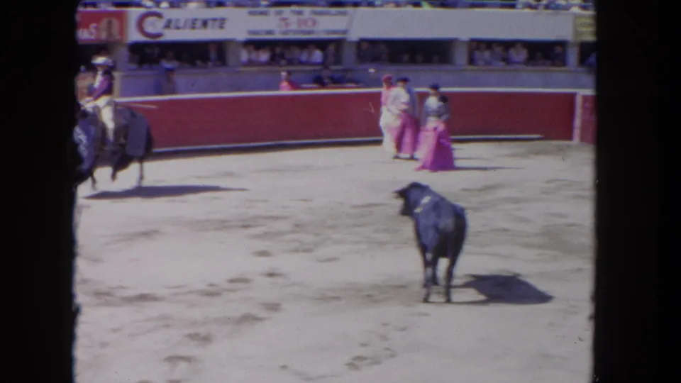 1962 Los Angeles arena footage showing the bull paused on the sand as matadors and a mounted rider remain near the perimeter.