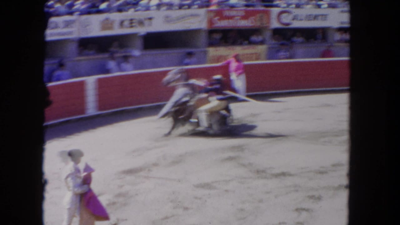 Matador with a pink cape stands as a bull and horse blur across a sunlit arena.