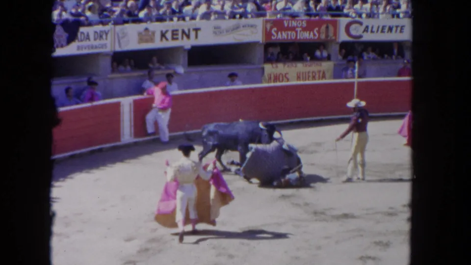 1962 Los Angeles bullfight footage shows a black bull near a fallen horse, with matadors, capes, spectators, and arena signs visible.