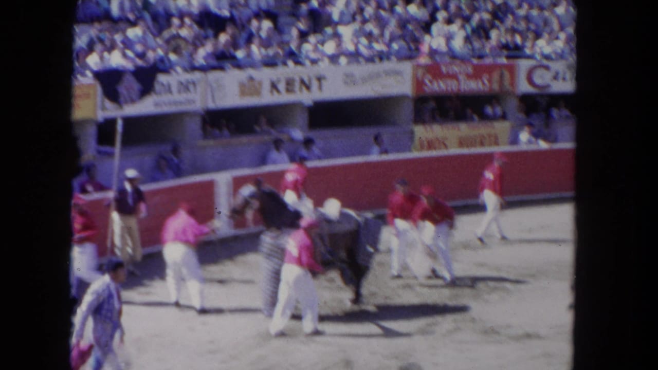 A dark horse stands near handlers in red shirts along the arena barrier.