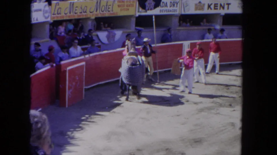 1962 Los Angeles 8mm frame showing a covered horse being guided toward the arena gate with handlers and spectators nearby.