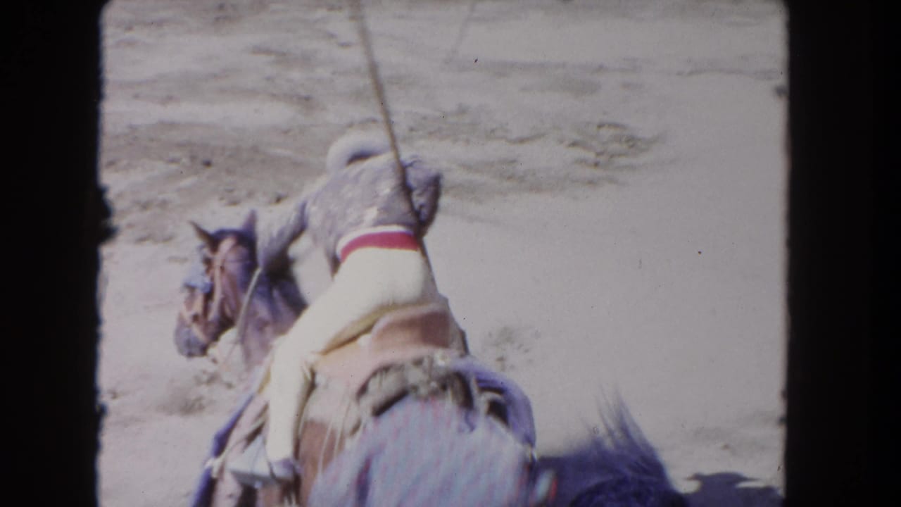 Cowboy on horseback seen from behind in a dusty arena, holding a long lance.