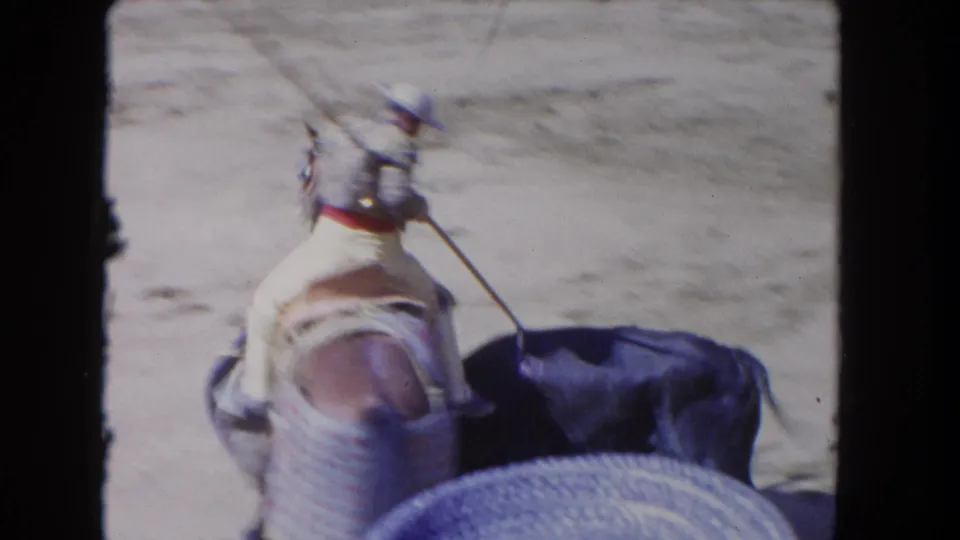 1962 Los Angeles rodeo frame of a mounted cowboy with a lance near a dark cow in a dusty arena.