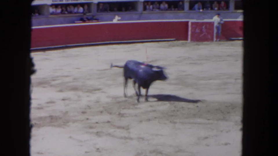 8mm home movie frame circa 1962 — dark bull in the sandy ring of what appears to be a Spanish bullring, spectators above red barrera, shot from the stands.