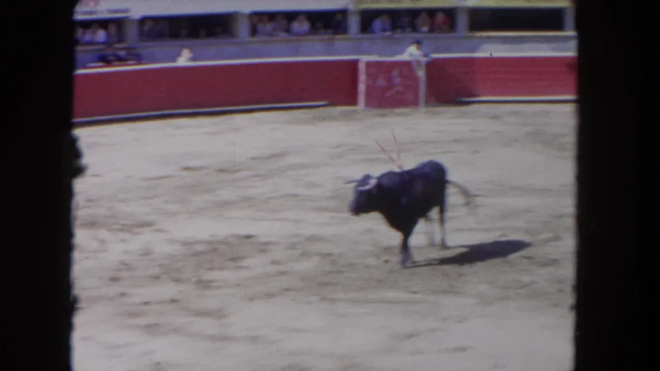 8mm film circa 1962 — dark bull with multiple banderillas embedded in its shoulders; red barrera wall and crowded stands visible in background.