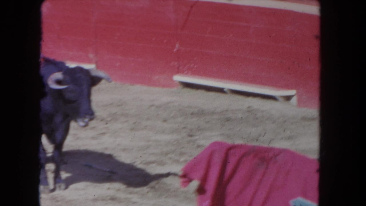 Dark bull stands halted in sandy arena, red muleta on ground to the right, red barrier wall behind.