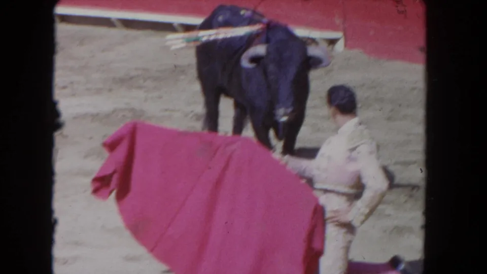 Matador in cream-colored suit extends red muleta toward a dark bull with banderillas in its back; 8mm footage from a bullfighting event, Los Angeles, 1962