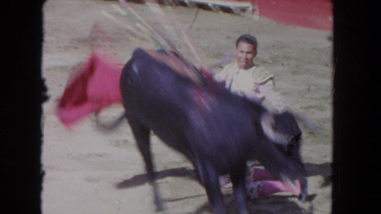 Dark bull in close foreground; matador in light suit visible behind with red cape mid-motion