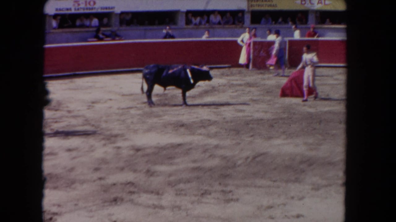 Dark bull faces a matador with a red cape in a sunny arena; advertising banners with racing text appear along the barrier wall.