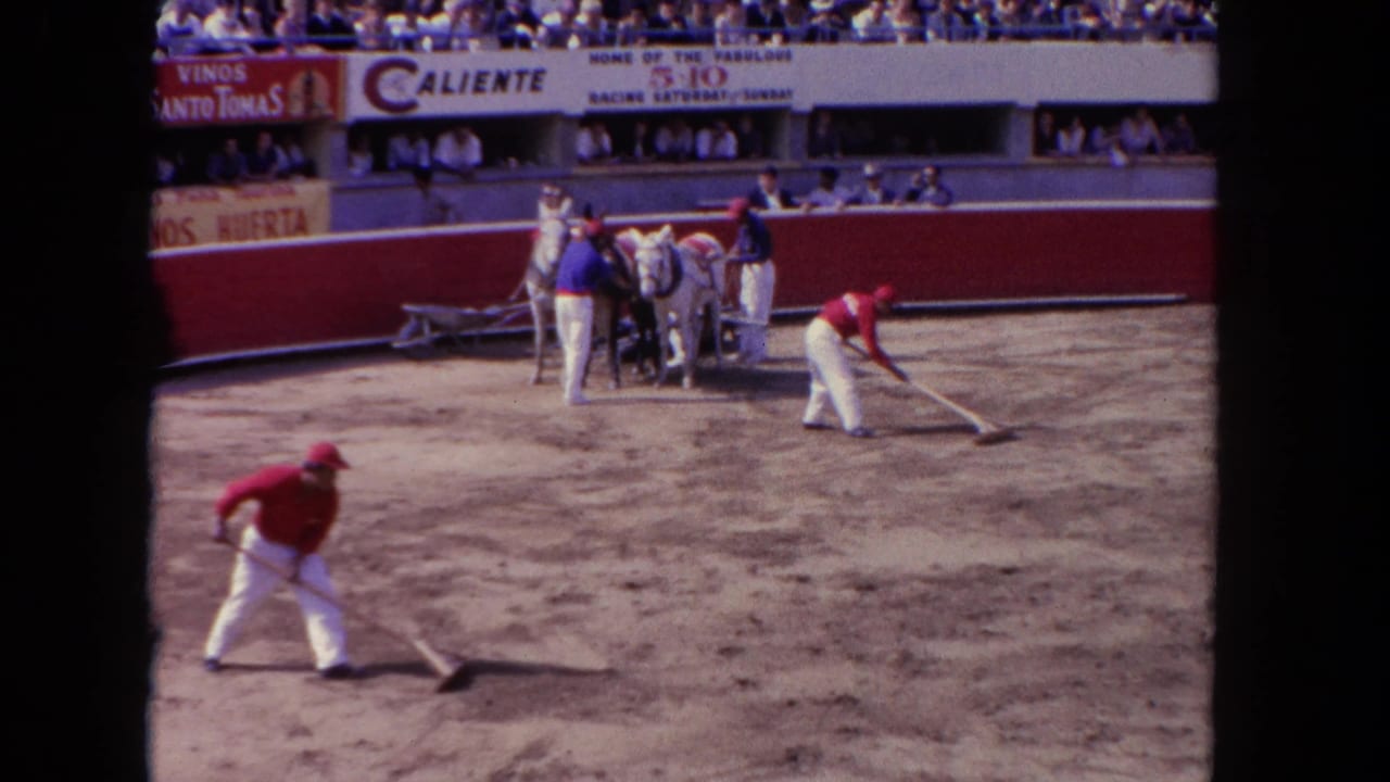 Worker in red shirt bends over dirt arena floor with a tool; spectator stands with advertising banners visible behind a red barrier.