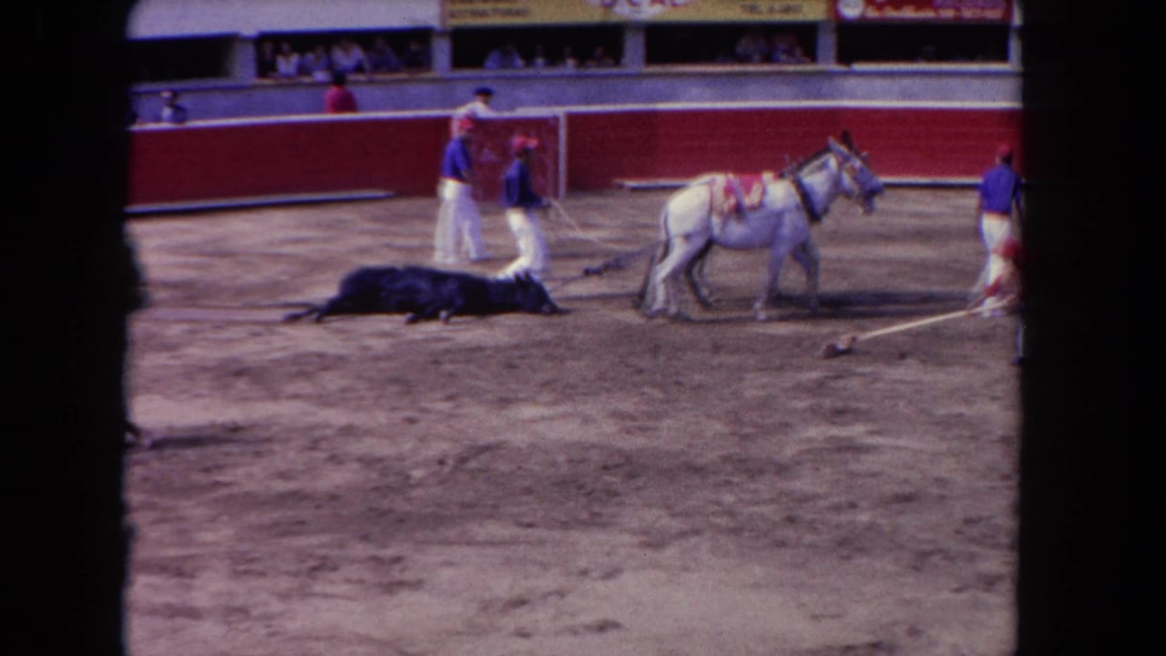 Workers in red and blue guide a grey horse across a dirt arena floor while a motionless black bull lies to the left.