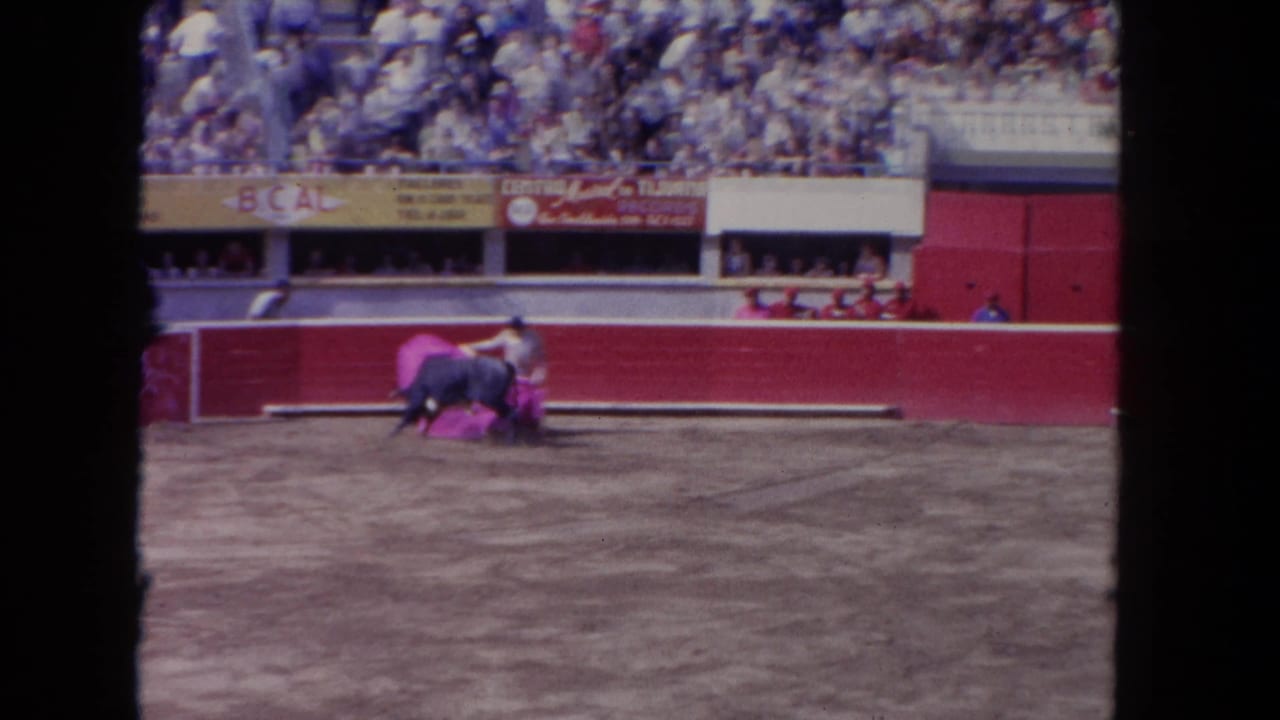 Matador in magenta costume works a dark bull with a cape across a sandy arena floor; packed spectator stands and a yellow 'BCAL' banner visible behind.