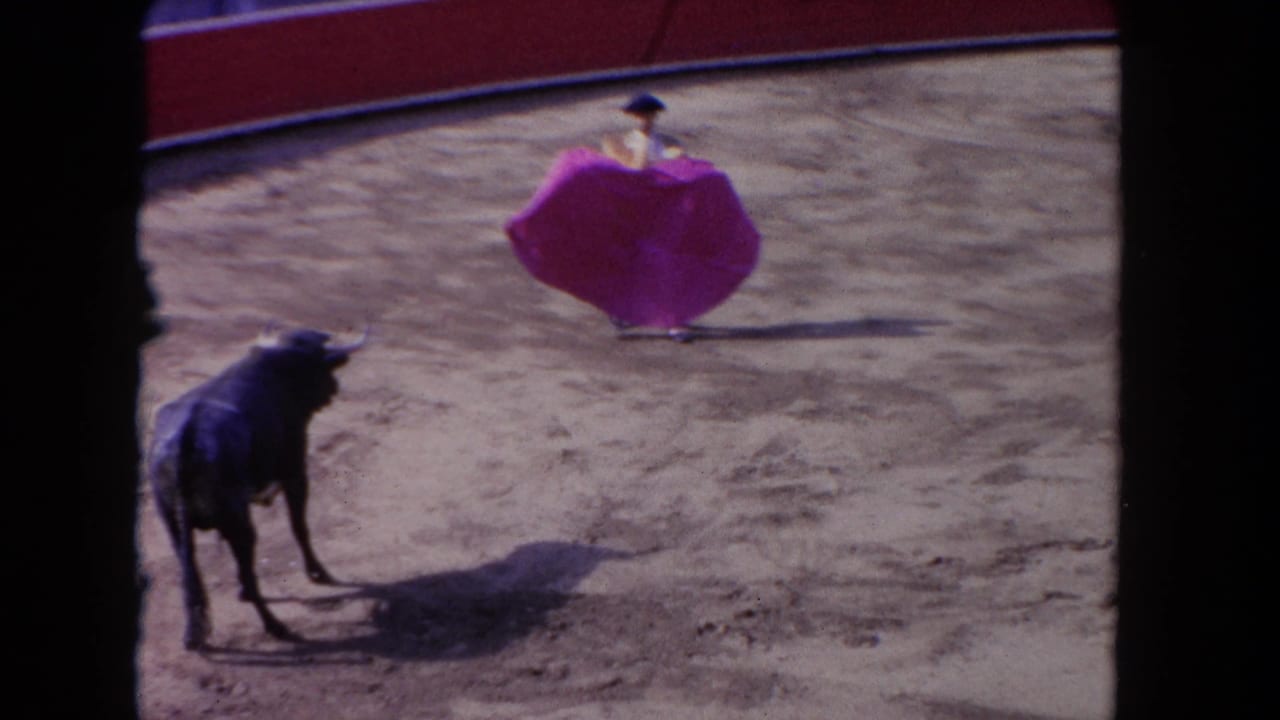 Black bull stands in the arena while the matador holds a pink cape at a distance.
