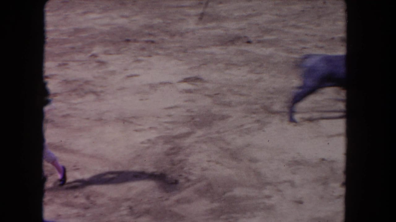 Sandy bullring with a blurred black bull and partial arena barrier visible.