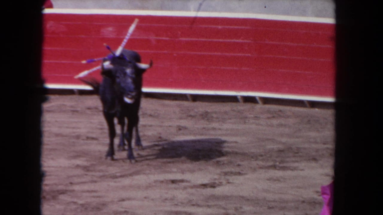 1962 Los Angeles 8mm frame showing a dark bull facing forward in a dirt bullring with red arena barriers and banderillas visible.