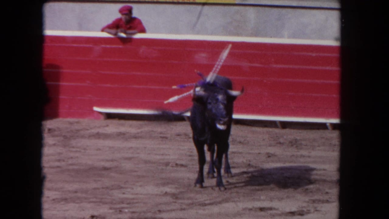 1962 Los Angeles 8mm frame with a bull in the ring near red boards and a visible spectator above the barrier.