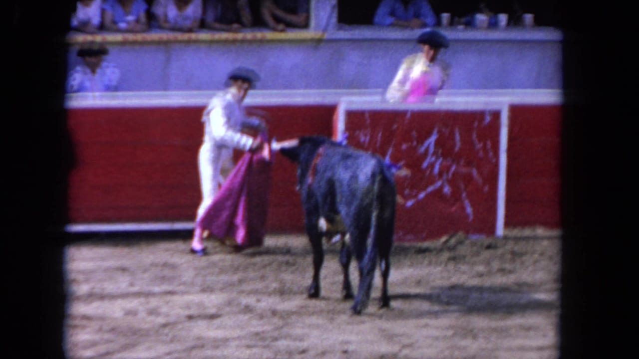 Matador with a cape faces a black bull in a red-walled arena while spectators watch above.