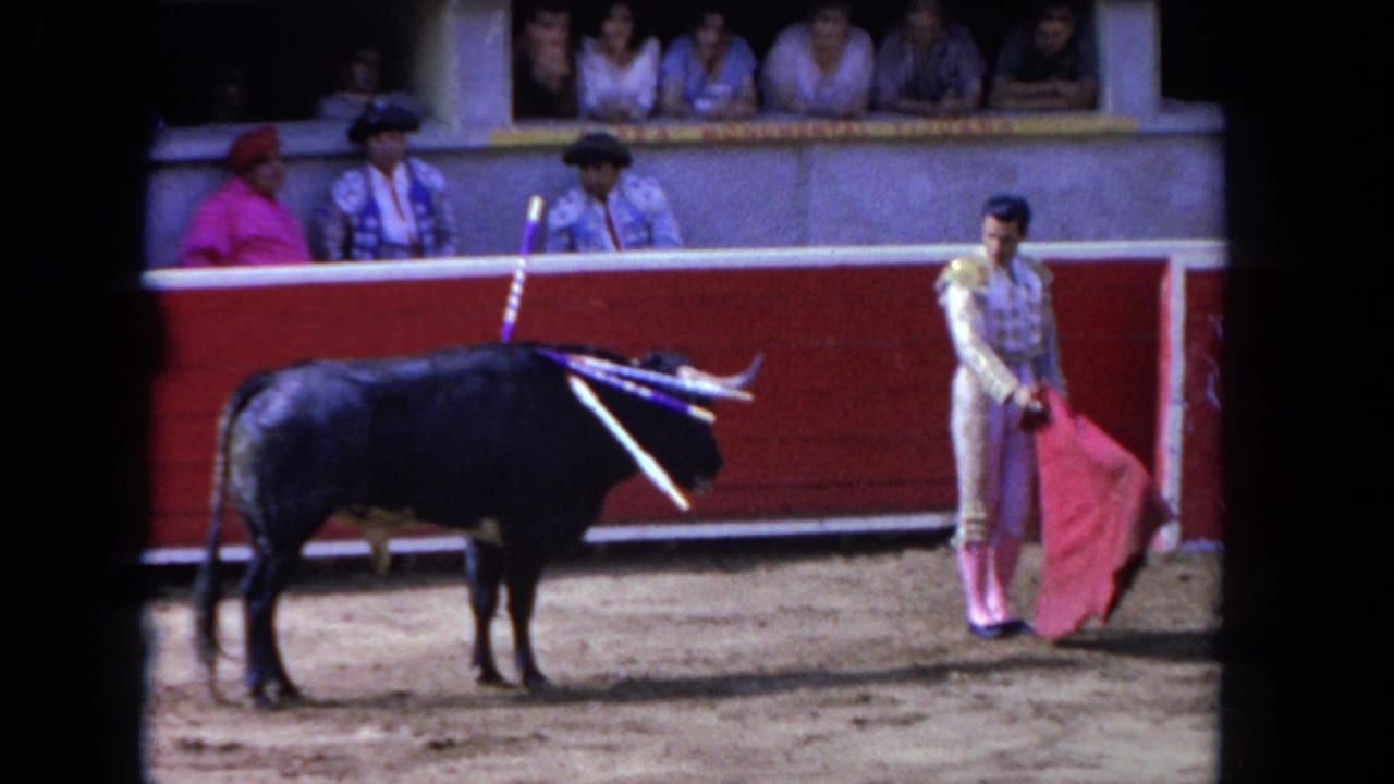 Black bull stands with banderillas as a matador holds a red cape nearby.