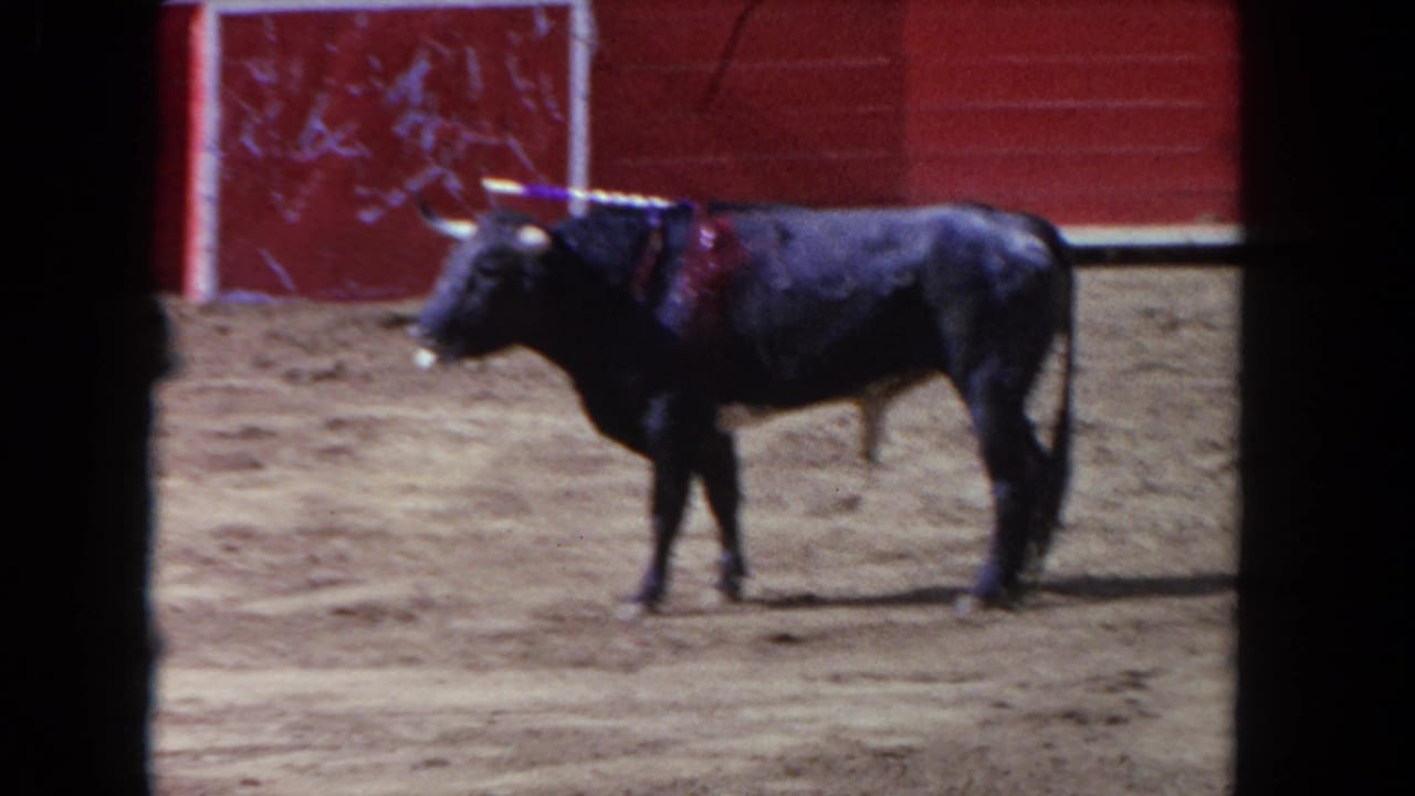 Dark bull bearing banderillas stands on sandy arena floor; red wooden barrier visible in background; 8mm film borders frame the image.