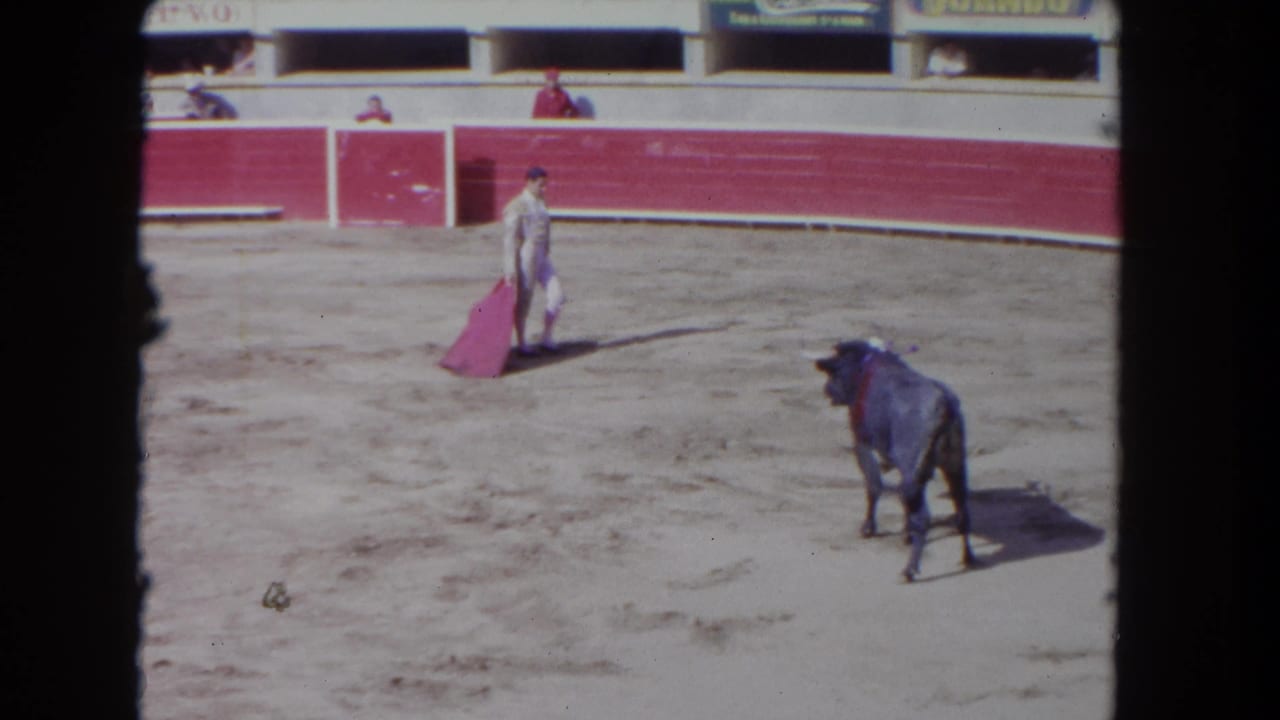 Matador holding pink cape faces a dark bull in a sandy bullring; red barrier and advertising banners visible in background.