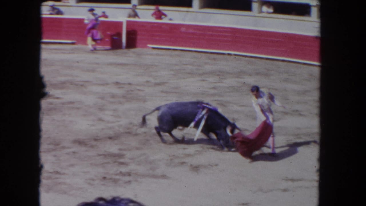 Matador in embroidered traje de luces executes a cape pass with a charging bull in a sunlit sand arena, 8mm home movie footage circa 1962.