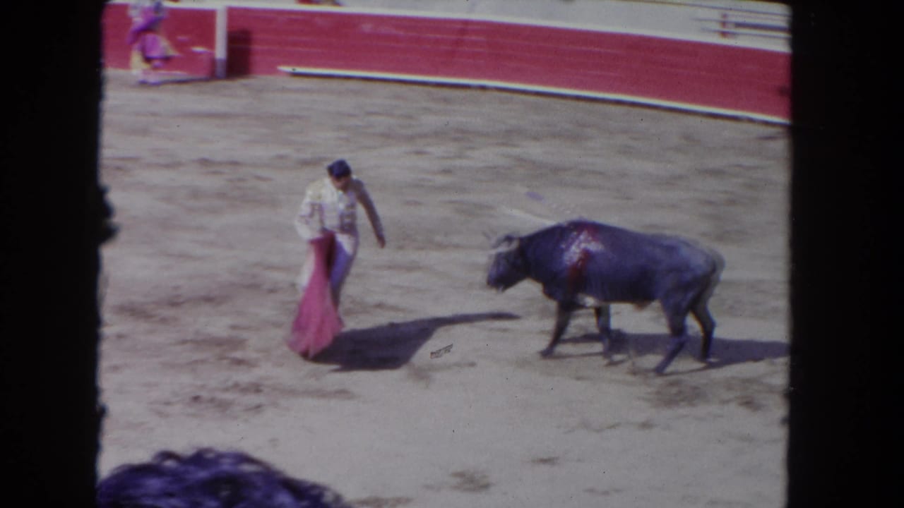 Matador in pink trousers stands facing a dark bull across an open sand arena.