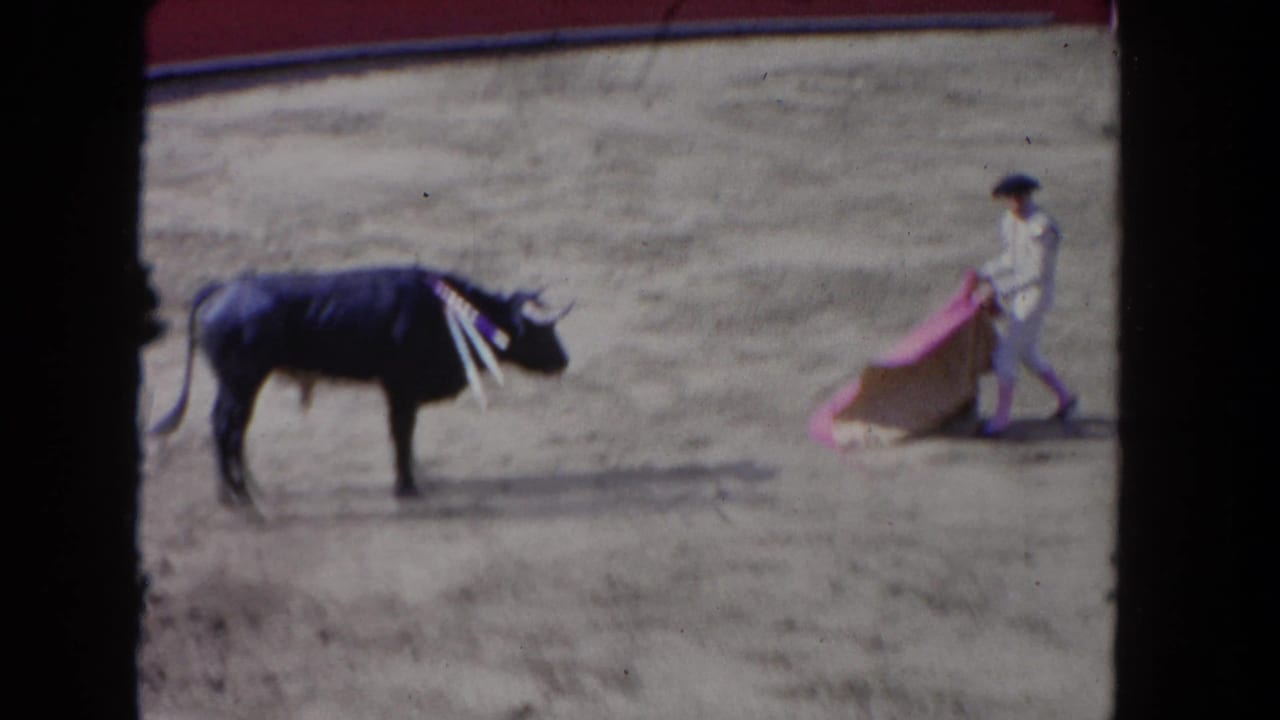 Dark bull with banderillas in its back turns away from a matador holding a cape at right in a sandy arena.