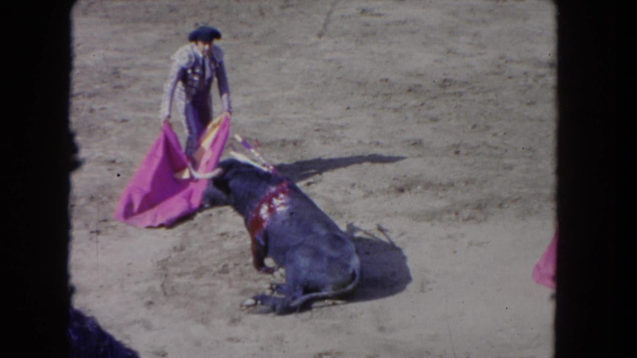 Matador in purple traje de luces holds magenta muleta cape over a collapsed dark bull on a sunlit sandy arena floor, viewed from an elevated spectator angle.