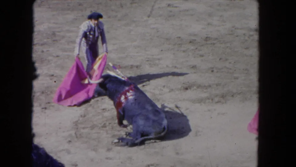 A matador in traditional purple traje de luces and black montera stands over a collapsed dark bull holding a magenta muleta; 1962 8mm home movie footage shot from arena stands.