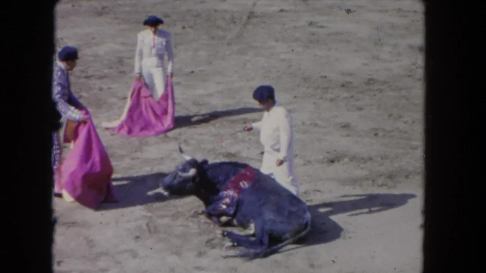 Matador and two assistants surround a downed bull at fight's end; red wounds visible on the animal's back; bright-sun 8mm home movie footage, consistent with 1962.