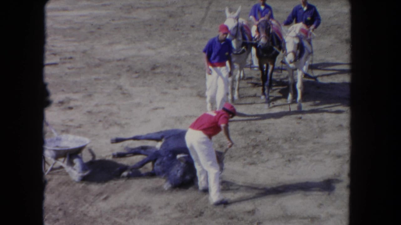 8mm home movie frame ca. 1962, Los Angeles area: uniformed handlers with painted donkeys; a man tends to a prone large dark animal on dusty ground, wheelbarrow at left.