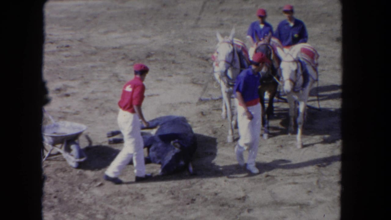 8mm home movie frame ca. 1962, Los Angeles area: handlers in matching uniforms flank painted donkeys while a prone large dark animal and wheelbarrow remain visible on bare dirt.