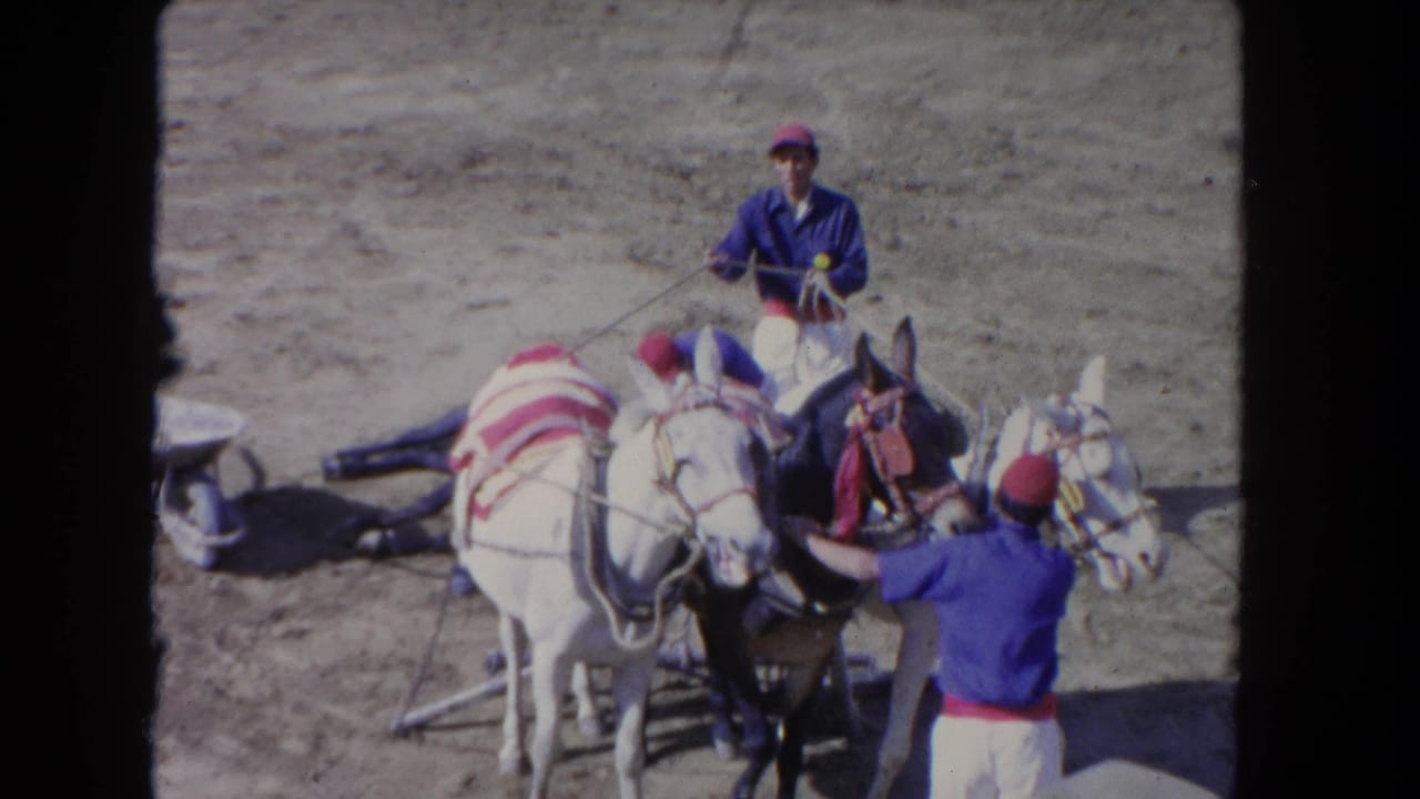 Two uniformed men handle white decorated horses in a dusty arena while a dark animal lies on the ground at left.