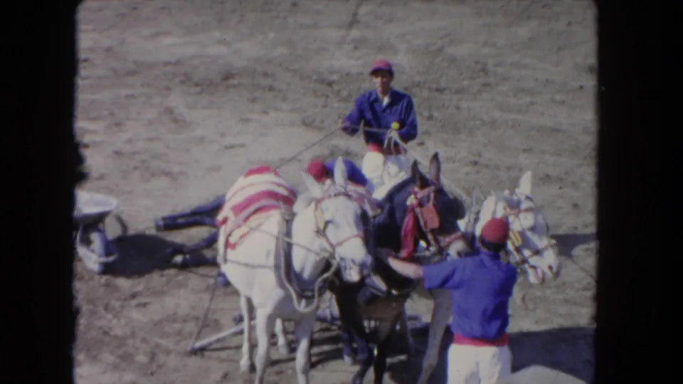 8mm home-movie frame from 1962 showing uniformed men in blue shirts and red caps managing decorated white horses at what appears to be an equestrian event in California.