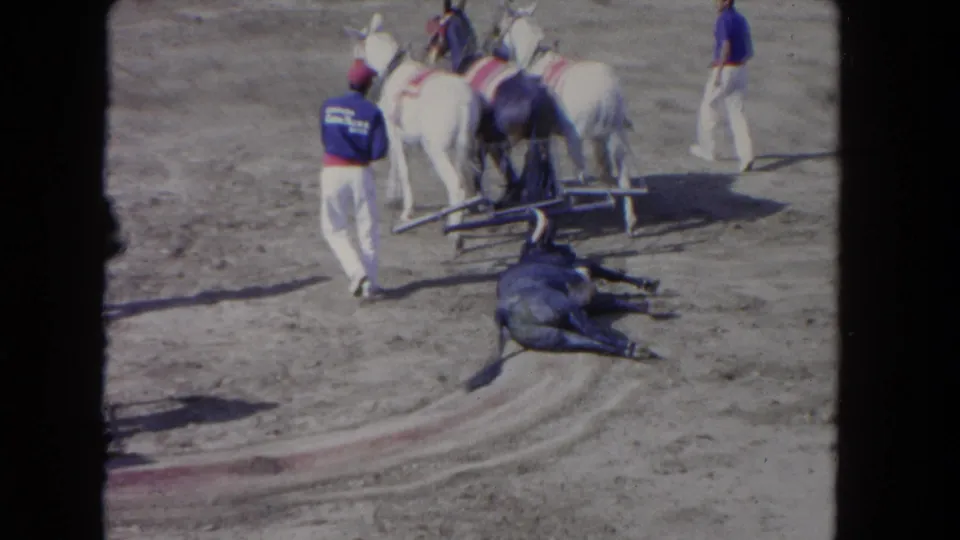 Dark horse has collapsed on a harness-racing dirt track, likely Los Angeles circa 1962; workers in blue and white respond while a white horse stands nearby.