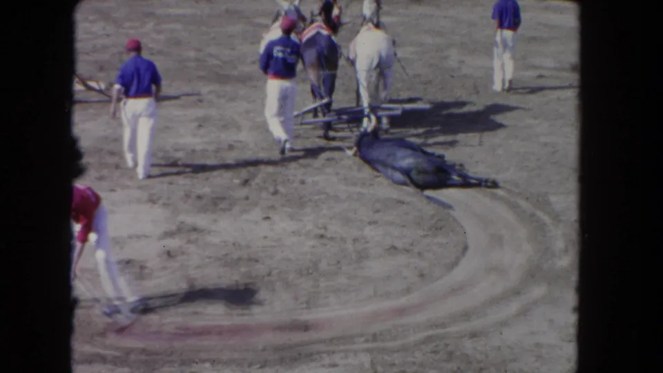 Track crew in blue uniforms move across a dirt harness-racing surface, likely Los Angeles circa 1962, with a fallen dark horse visible in the background.