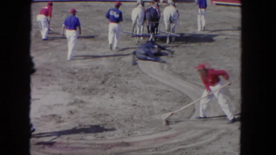 A worker in a red cap rakes the dirt surface of what appears to be a harness-racing track, likely Los Angeles circa 1962, while a fallen dark horse remains on the ground and handlers manage white horses nearby.