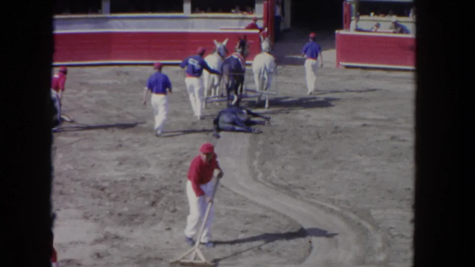 A worker in a red cap rakes the dirt track while a fallen dark horse and standing handlers occupy the mid-ground, with a red and blue infield structure visible in the background at what appears to be a Los Angeles venue, circa 1962.