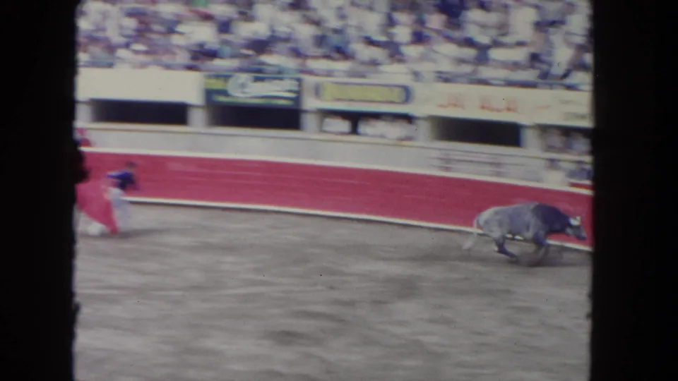 The bull crosses the arena in front of the red wall while a matador remains near the edge, with spectators and advertising signs visible in the background.