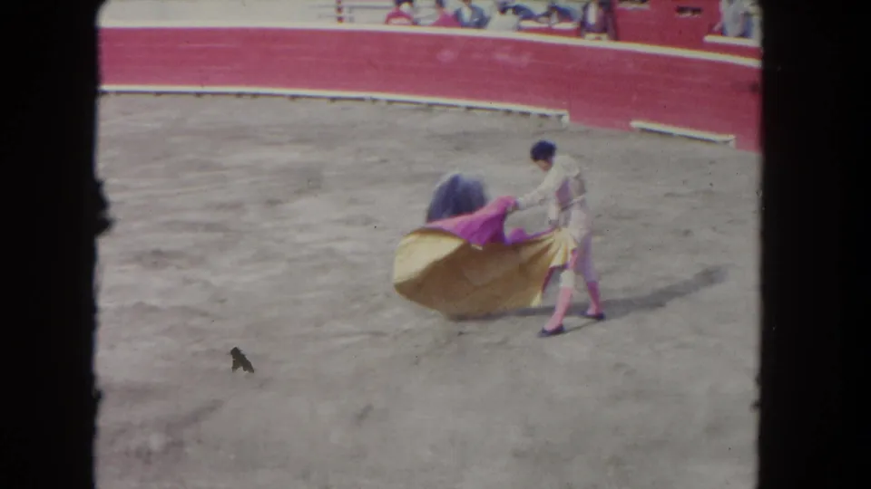 Matador stands in an open section of arena holding pink and yellow capes between passes; a small bird walks the sand in the foreground.