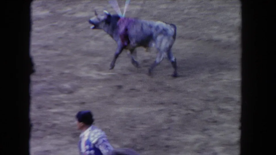Dark bull adorned with banderillas pivoting in a sandy corrida arena, circa 1962 8mm footage; matador in embroidered suit visible at lower edge of frame.