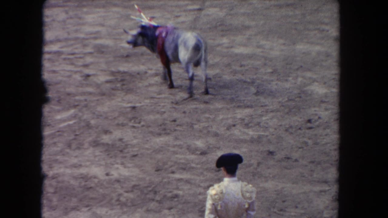 Bull with banderillas turns in a sandy arena; matador in ornate jacket seen from behind at right.