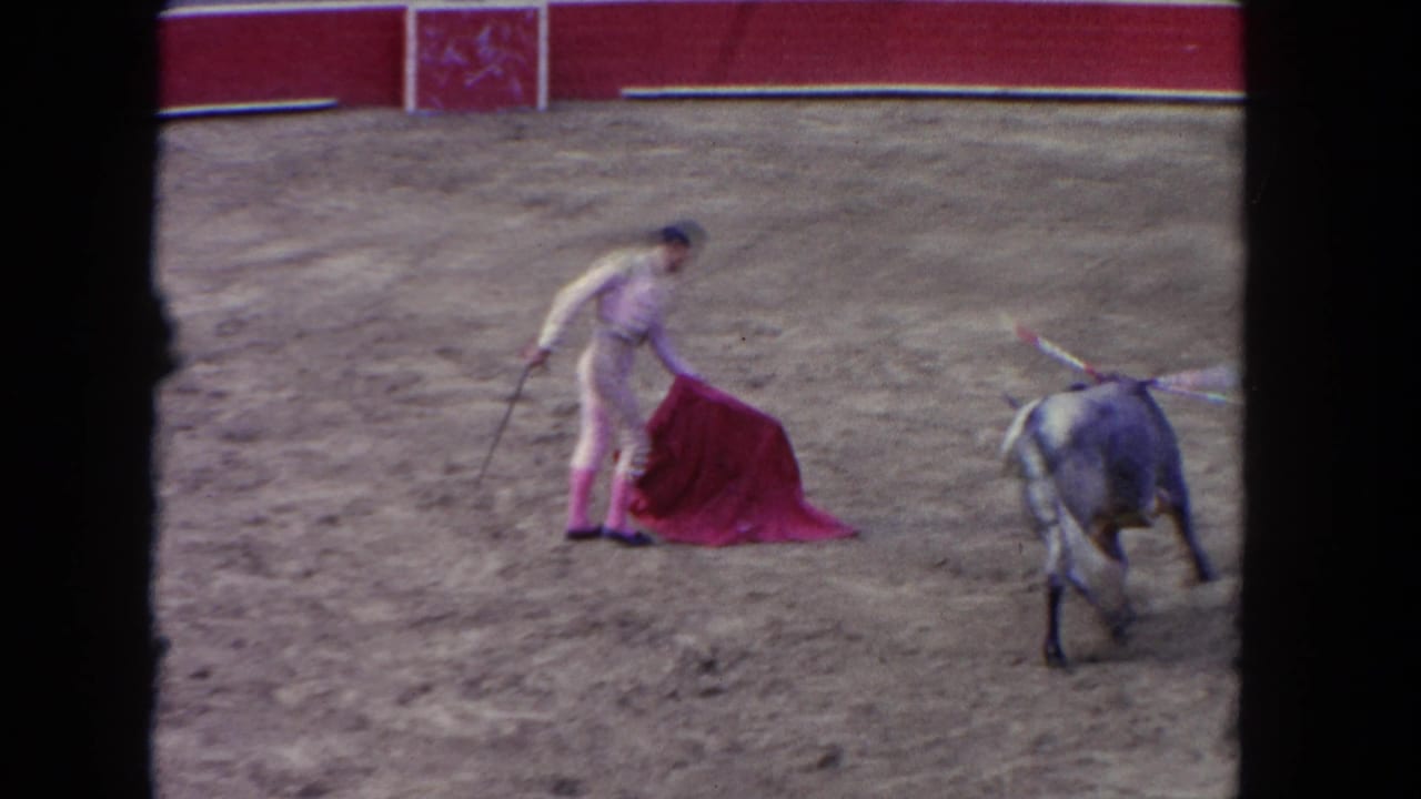 Matador pauses with red muleta and what appears to be a sword or stick as a grey bull stands at the barrera edge in a sunlit bullring, circa 1962.
