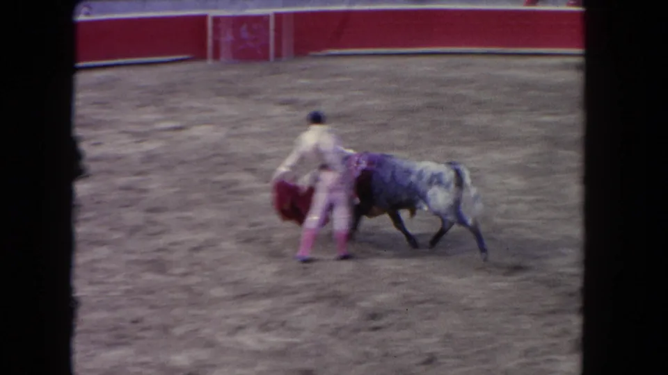 Close action as a grey bull charges at very close range past a matador's red muleta in a sunlit bullring with red barrera wall, circa 1962.