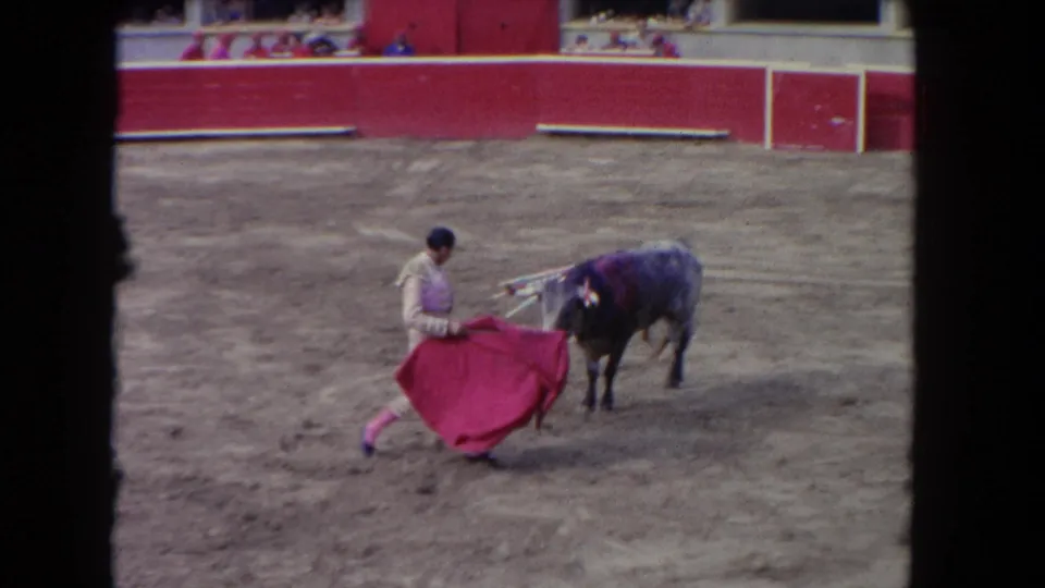 Matador crouches in a low pass, cape fully swept as the bull charges at close range in a 1960s sand arena, crowd and red barrera visible behind.