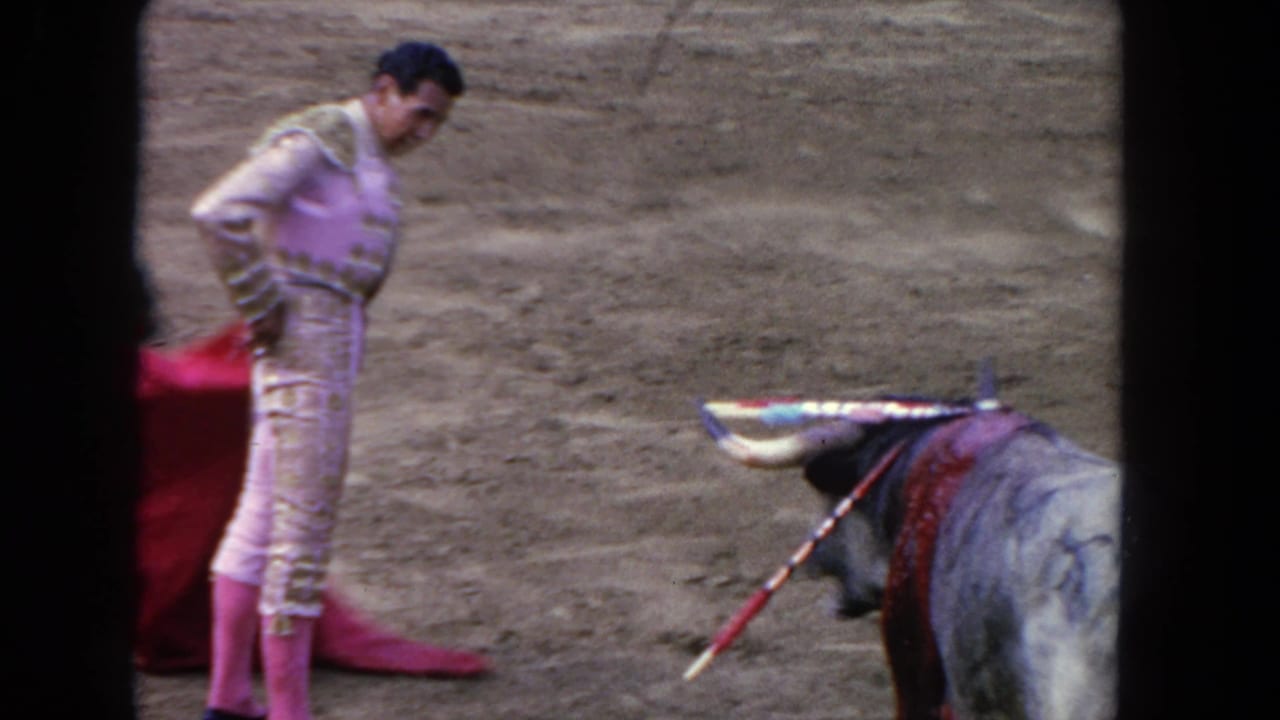 Matador stands upright in pink suit holding red muleta beside a bull with banderillas in a sunlit sandy arena.
