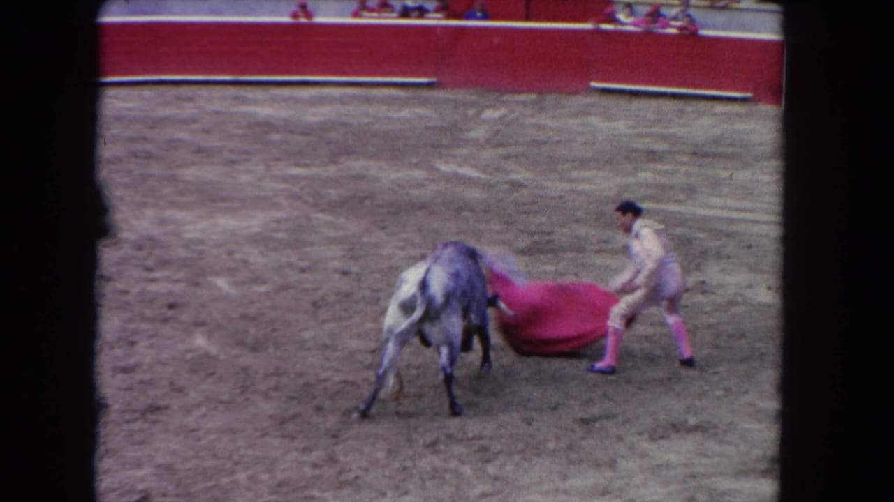 Matador in cream traje de luces and pink stockings holds red muleta low as a grey bull charges; 1962 8mm spectator footage.